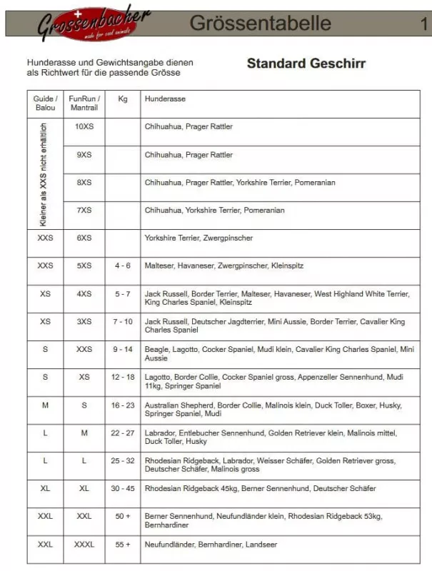Grossenbacher FunRun blau 5XS